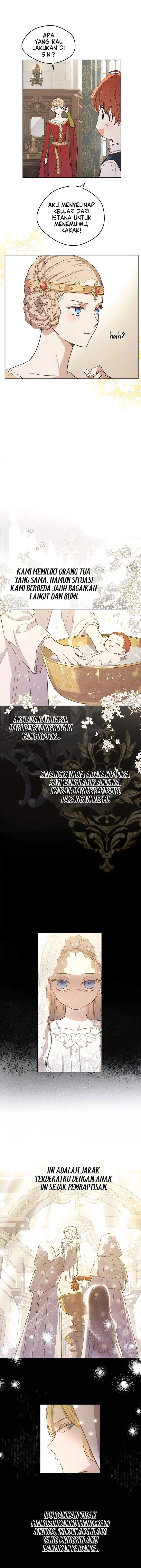 
              The Forgotten Field             Chapter 12