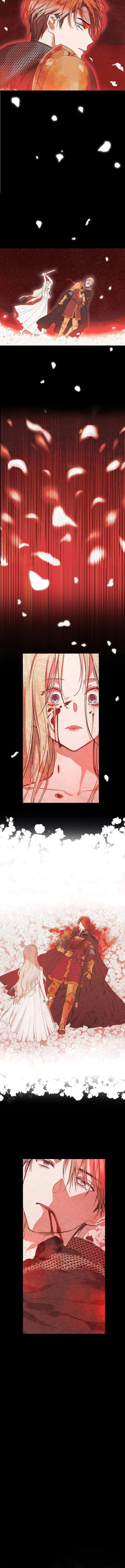 
              The Forgotten Field             Chapter 19