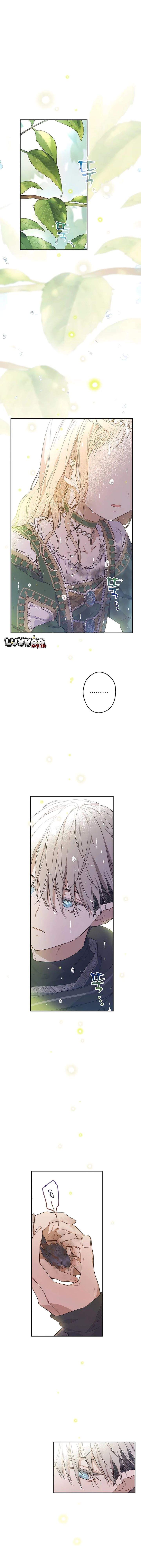 
              The Forgotten Field             Chapter 4
