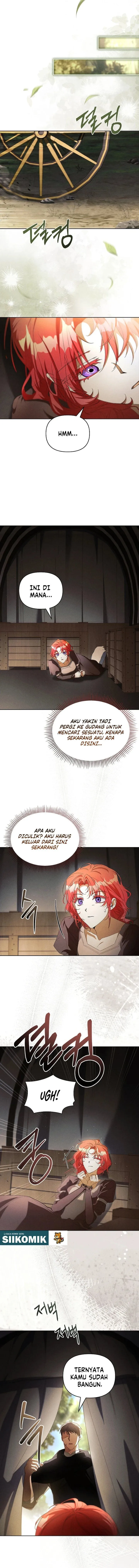 Panel 7